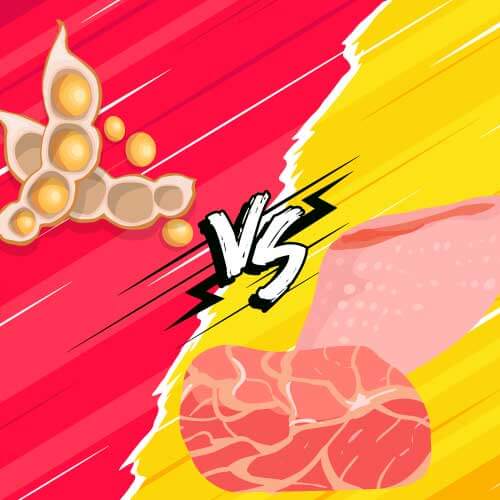 ¿Qué proteína es mejor la vegetal o animal?