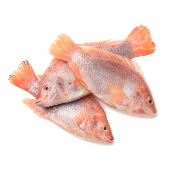 ¿Cómo se llama el pescado que es aplastado?