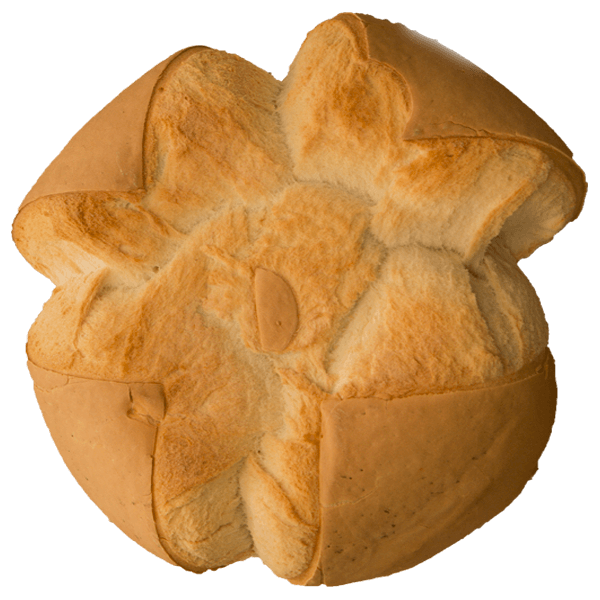 ¿Cuáles son las partes del pan?