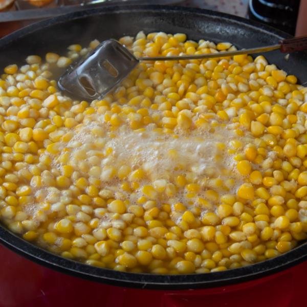 ¿Cuáles son las propiedades del maíz?