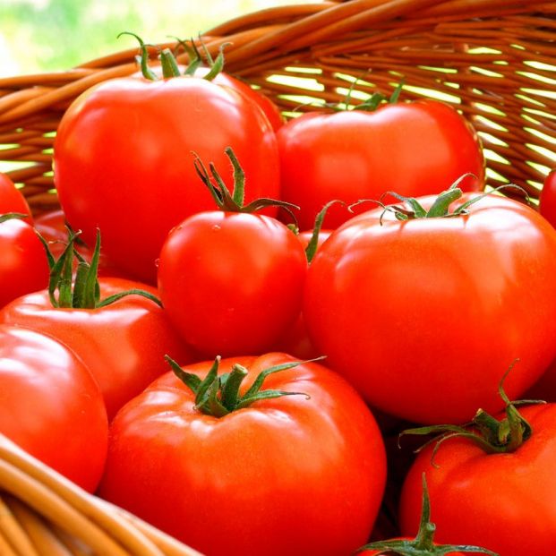 ¿Cuántas calorías tiene 100 gramos de ensalada de lechuga y tomate?