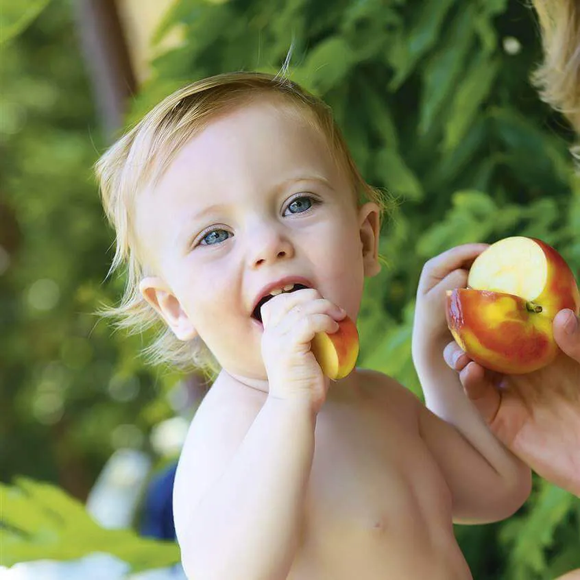 ¿Cuántas cucharadas debe comer un bebé de 6 meses?