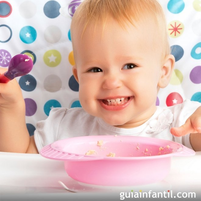 ¿Cuántas veces al día debe comer un bebé de 8 meses?