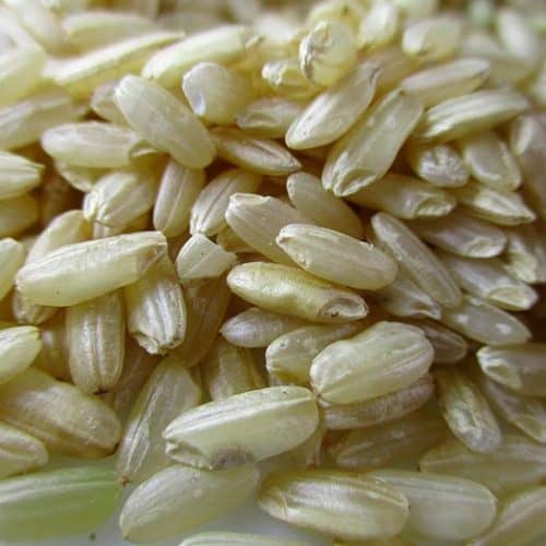 ¿Qué arroz se puede comer en una dieta?