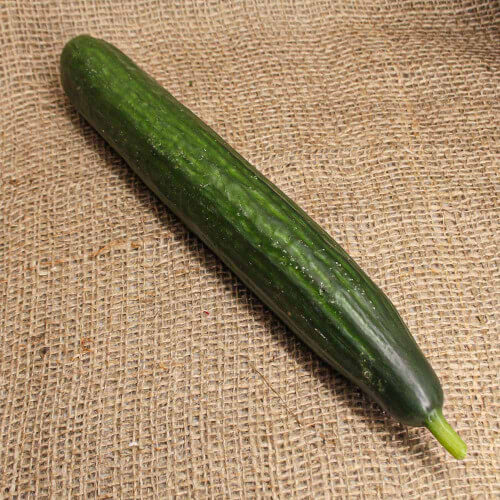 ¿Qué diferencia hay entre zucchini y pepino?
