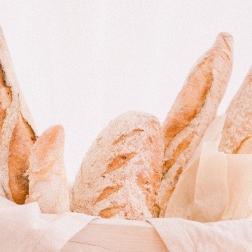 ¿Qué es el pan y sus propiedades?