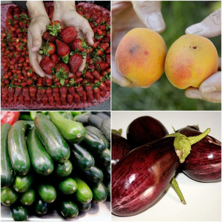 ¿Qué frutas y verduras se cosechan en verano?