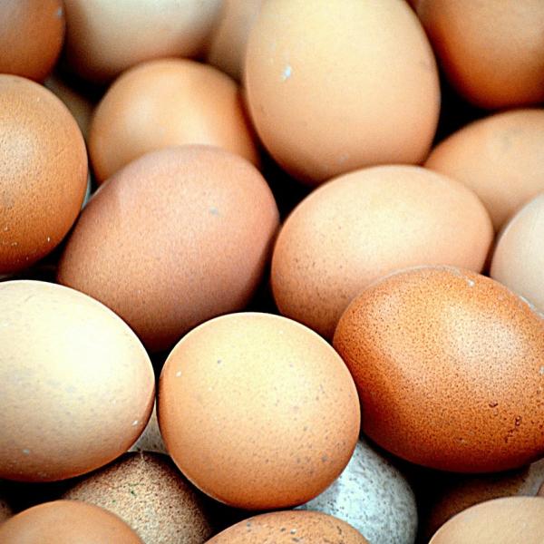 ¿Qué le pasa a tu cuerpo cuando comes 3 huevos al día?