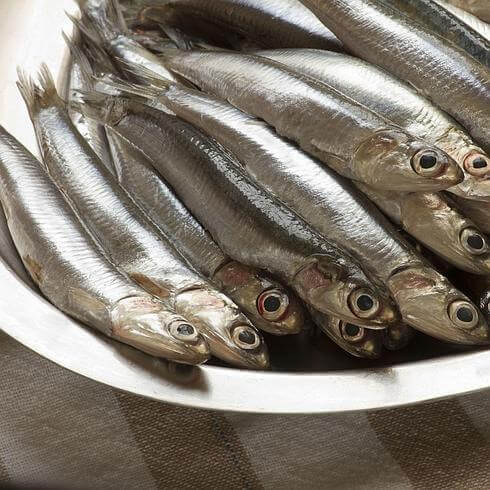 ¿Qué pasa si te comes un pescado con anisakis?