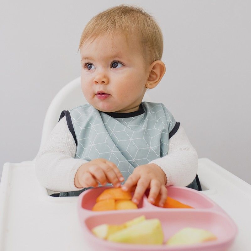 ¿Qué puede comer un bebé de 9 meses Blw?