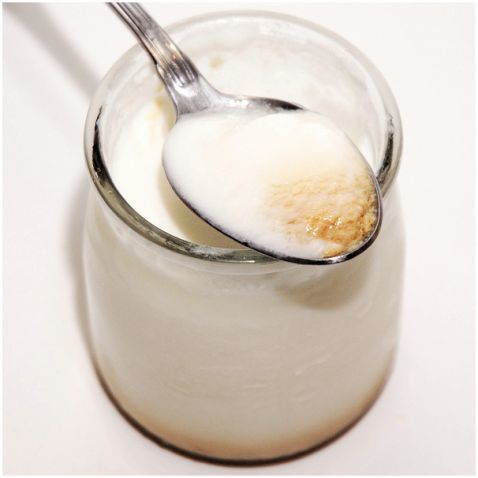 ¿Qué se le puede echar al yogurt natural?