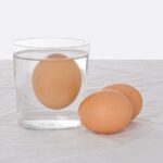 ¿Cómo conservar los huevos afuera o en el refrigerador?