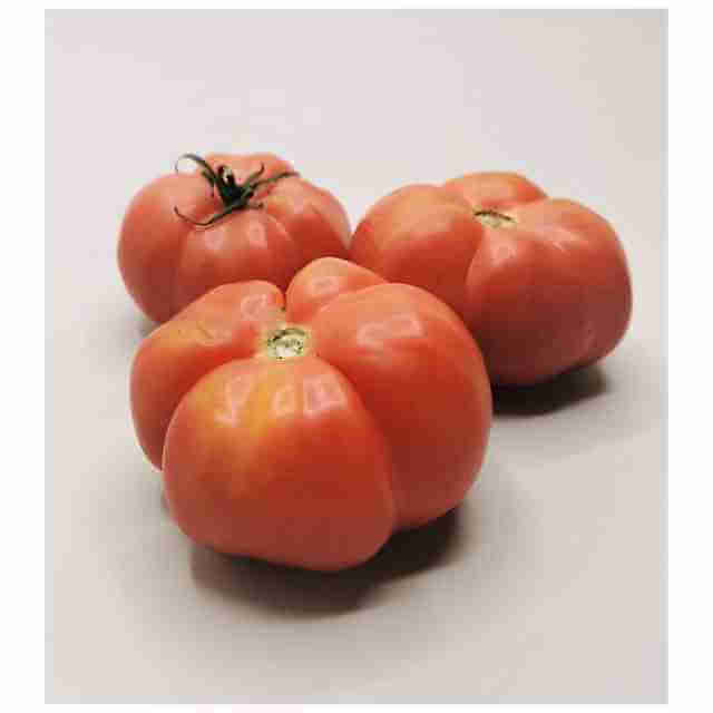 ¿Cuáles son los mejores tomates para rellenar?