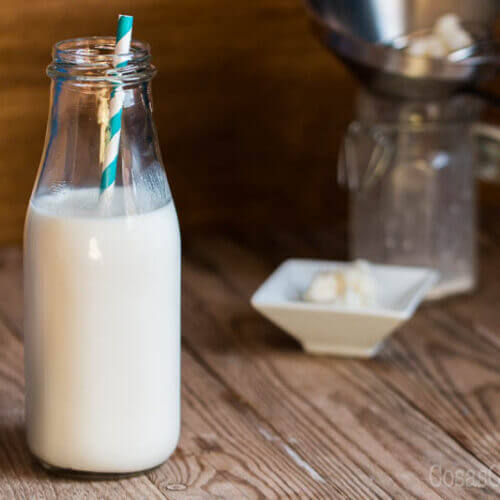 ¿Qué leche tiene mejor sabor?