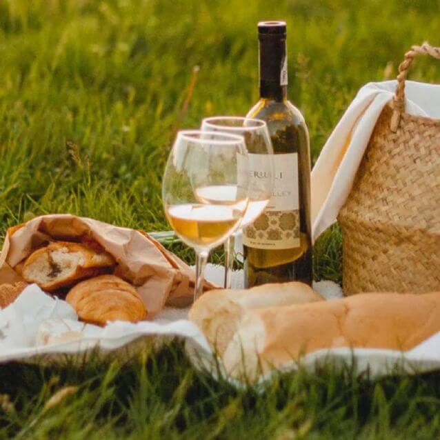 ¿Qué se debe tener en un picnic?