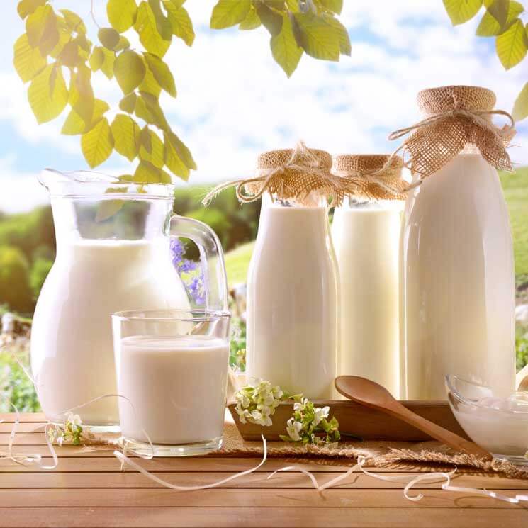 ¿Qué tipo de leche debe tomar un adulto mayor?