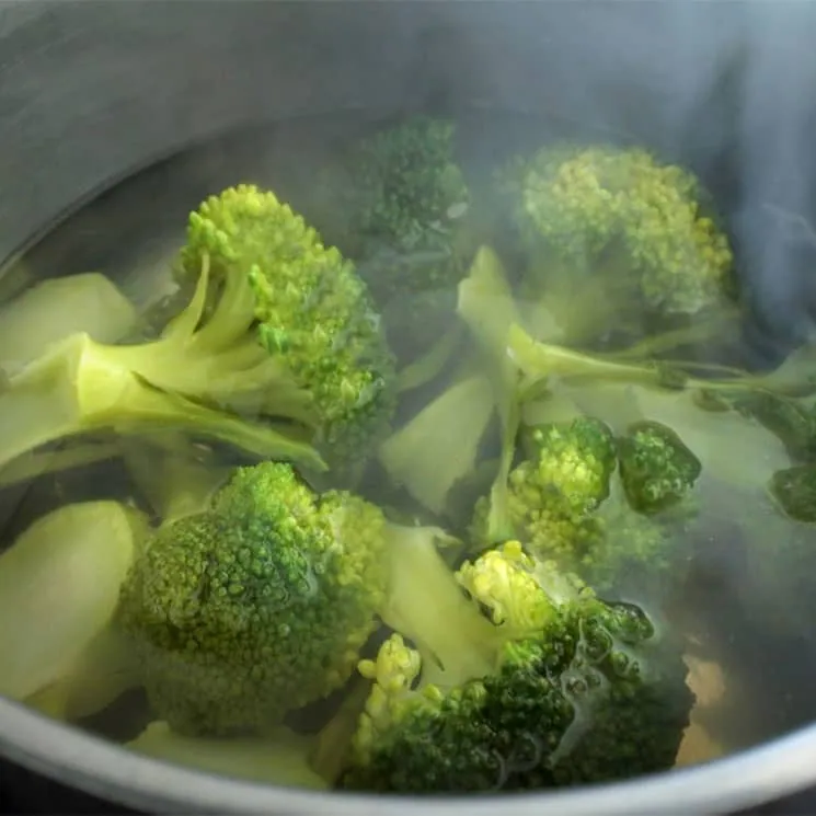 ¿Qué verduras hay en el mundo?