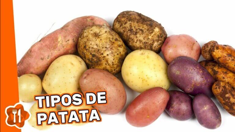 Cuales son las patatas