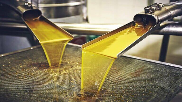 Como se extrae el aceite de oliva