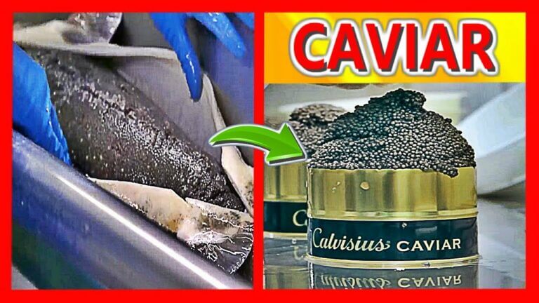 Korea caviar precio