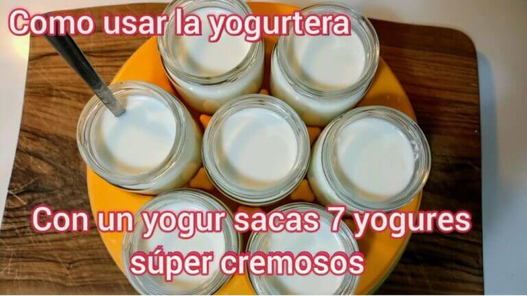 Como usar yogurtera