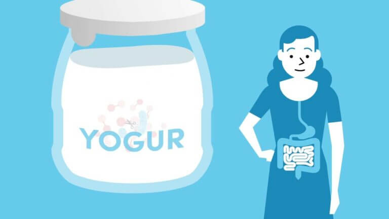Desventajas del yogurt