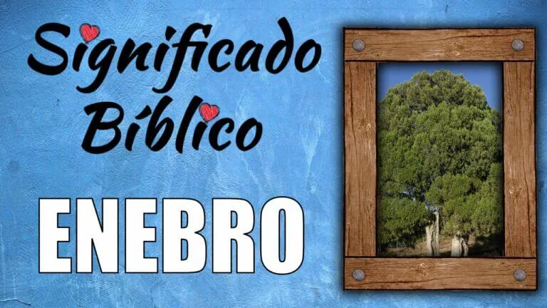 Enebro significado