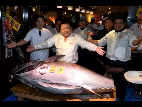 El salmon mas caro del mundo