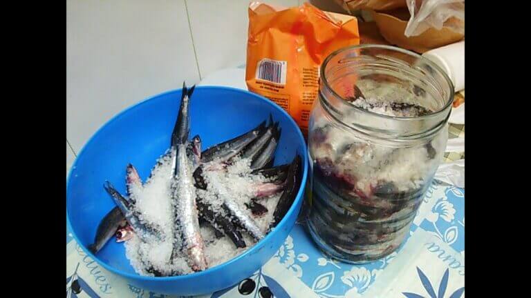 Preparacion de anchoas en salazon